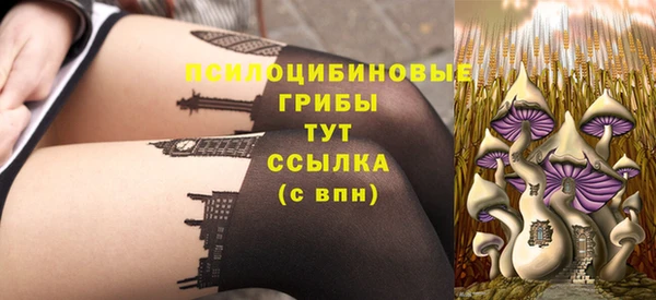 прущие грибы Алексеевка