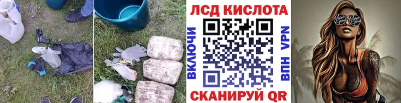 блэк спрут как зайти купить наркотики сайты Бологое LSD-25 экстази ecstasy