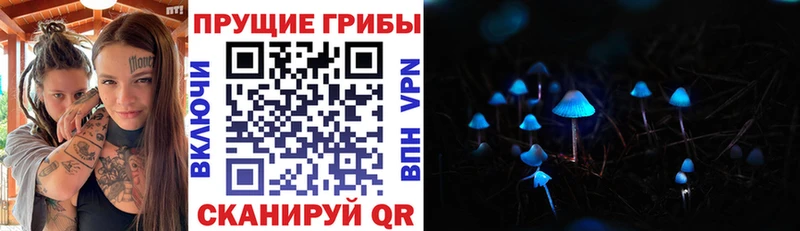 Псилоцибиновые грибы мицелий Бологое