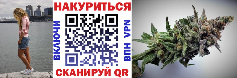 Каннабис SATIVA & INDICA  Бологое 